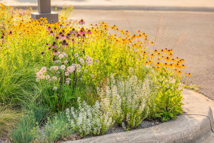 In Madison, Wisconsin, gravel gardens are becoming a creative, maintenance-saving landscape technique for several public beautification projects, including this public pool parking lot. Island gravel gardens have proven remarkably resilient in the parking lot environment. After the first two years, the islands have not been watered and have thrived despite two record-breaking droughts in recent years. Photograph by Bob Stefko.