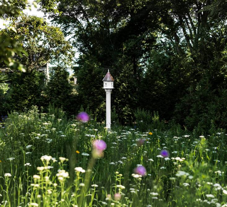 An elegant bird house by Pour Joy sits on a post in the unenriched section of Meadow Lab\2\17;s Signature Native wildflower sod; the property is filled with birdbaths and feeders. 