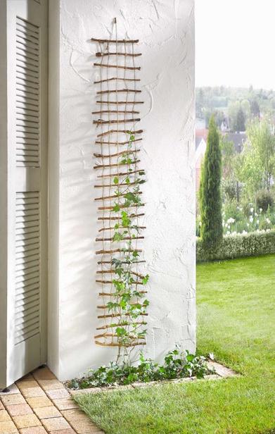 25 Copper Wire Plant Trellis by On Ya Garden ideas