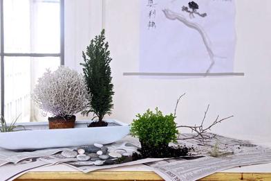 Diy: A Desktop Zen Garden - Gardenista
