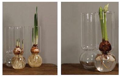 Recycled Glass Tall Bulb Vase Homart 