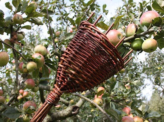 Fruit Picker Head Basket Apple Picking Harvester Horticulture Gardening Tool NEW 