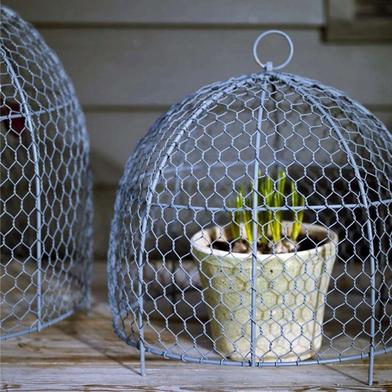 How to Make a DIY Garden Cloche + Gardening with Chickens - Rooted Revival