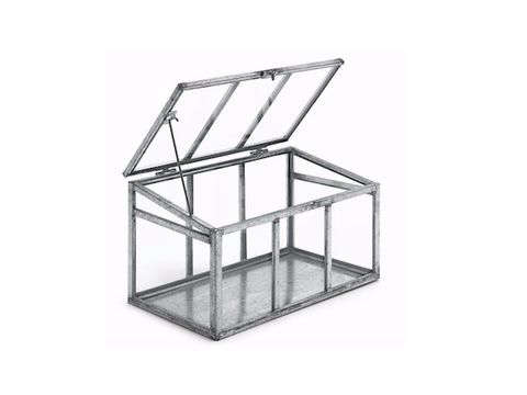 Glass / Steel Indoor Greenhouse