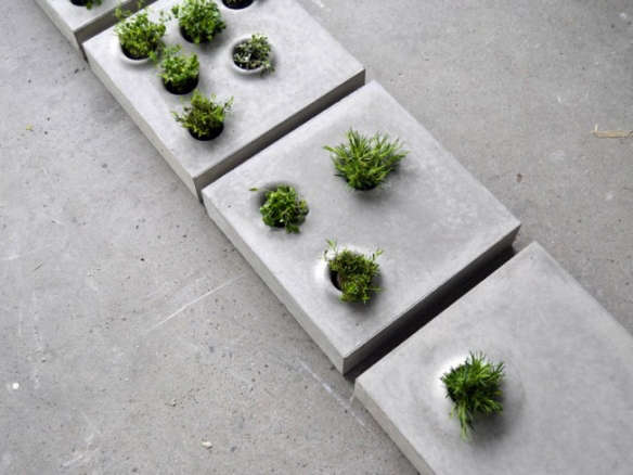 Grey to Green Concrete Pavers