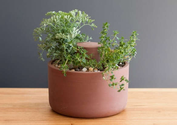 Self-Watering Terra Cotta Planter by Joey Roth