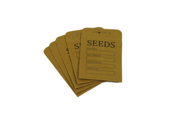 Pack of 20 Seed Envelopes