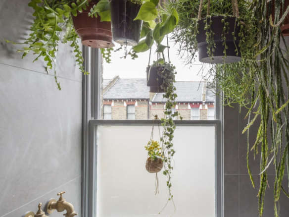 Sky’s the Limit: 5 Indoor Plants for Rooms with High Ceilings