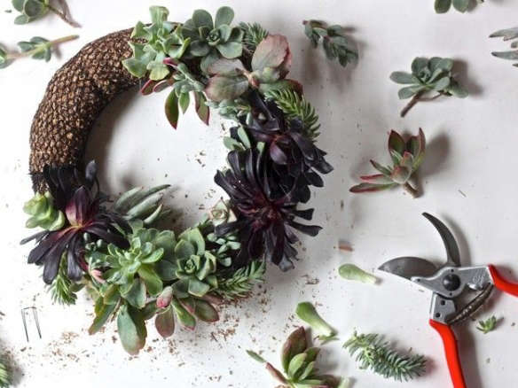 DIY: A Succulent Wreath to Display All Year