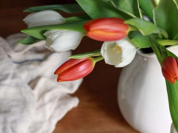 Supermarket Tulips Transformed: A Ten Dollar Bouquet