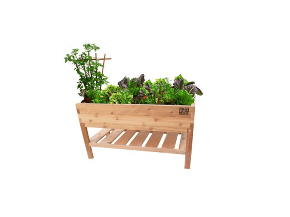 Elevated Table Garden