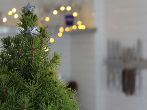 5 Ways to Re-Use Your Christmas Tree Post-Holiday