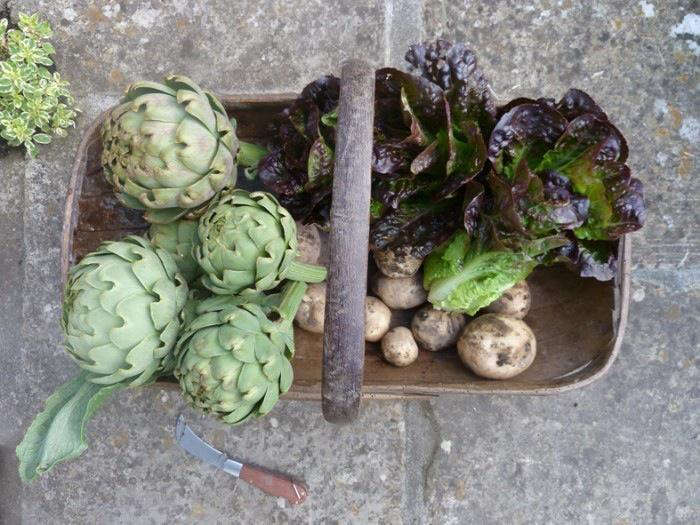 A wooden trug is useful for harvesting vegetables, fruits, and flowers. Photograph courtesy of Ben Pentreath. See more at 10 Easy Pieces: Garden Trugs.