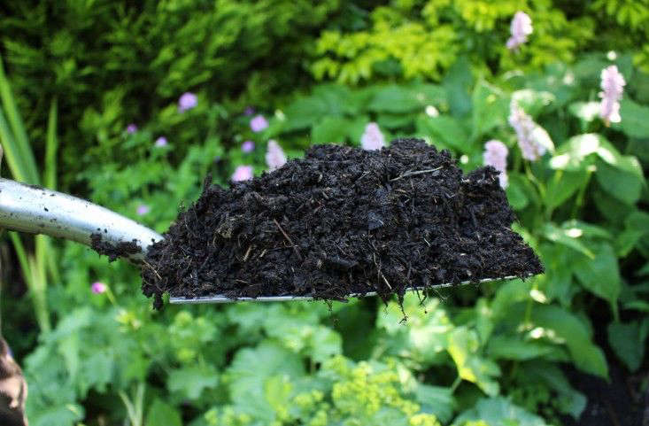 Grow Compost Essential Know-how and Expert Advice for Gardening Success