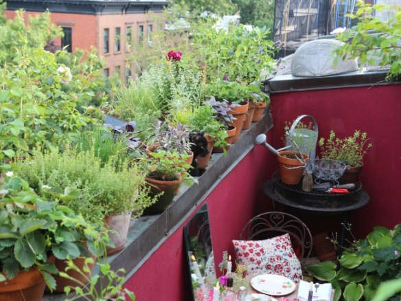 10 Secrets for Growing an Urban Balcony Garden