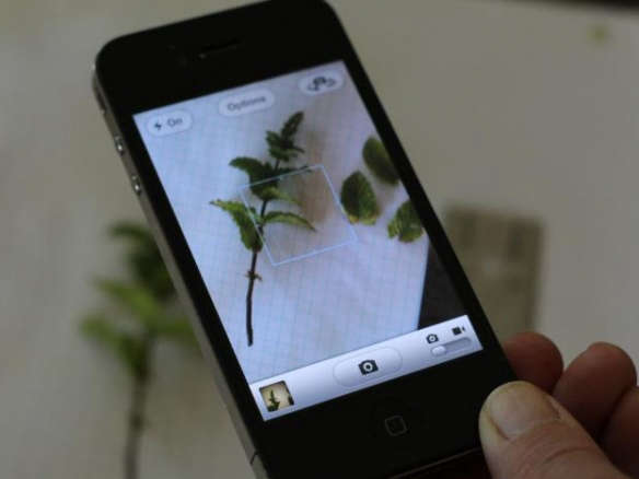 The Top 10 Gardening Apps You Need Now