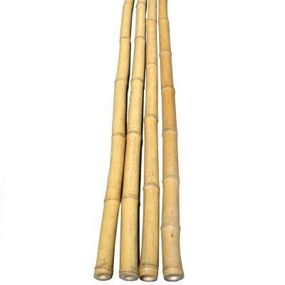 Backyard X-Scapes Bamboo Poles Natural