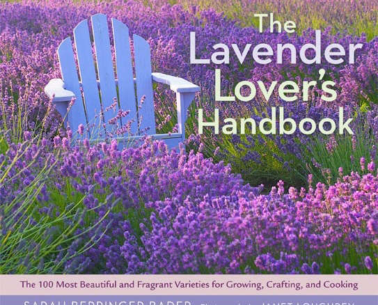 The Lavender Lover’s Handbook