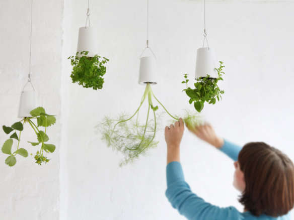 The Hanging Kitchen Garden by Boskke