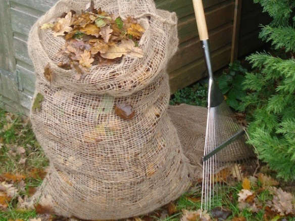 10 Easy Pieces: Leaf and Garden Rakes