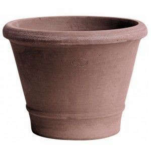 Brown Terracotta Rim Pot