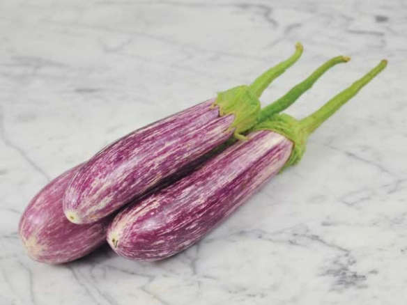 Antigua Eggplant