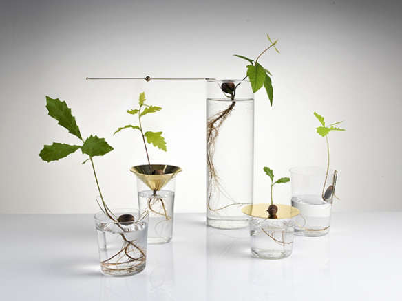 Floating Forest Series Vases