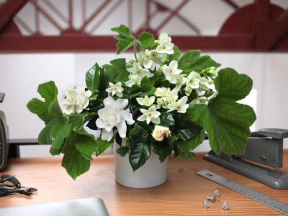DIY: Office Flowers With a Scent Even Co-Workers Will Love