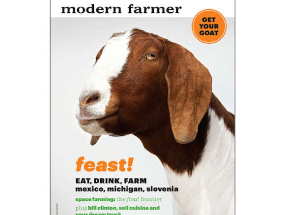 Modern Farmer Issue 2