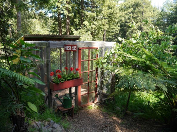 Lady in Red: A Woodland Chicken Coop with Charm to Spare
