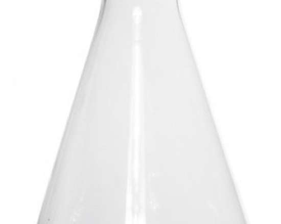 Science Flask Vases