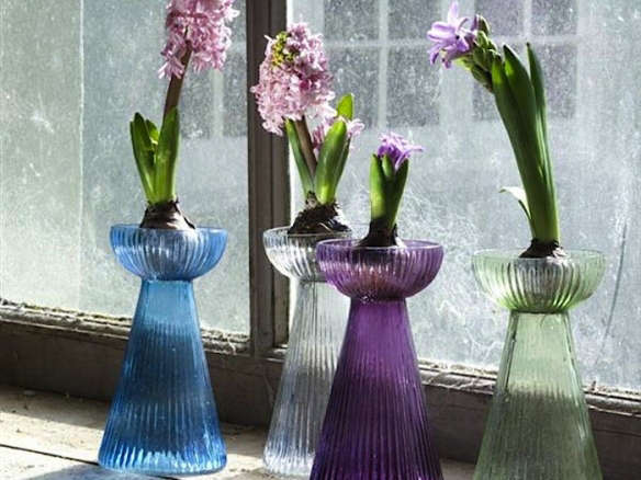 Hyacinth Bulb Vases Set