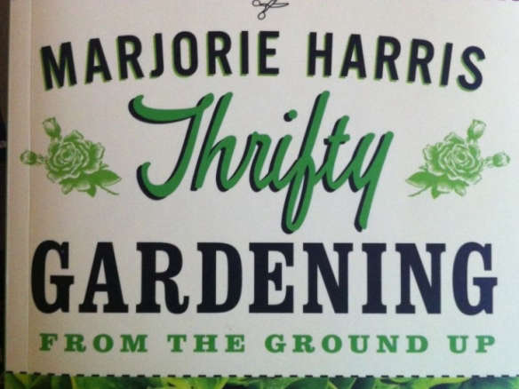 Thrifty Gardening: From the Ground Up