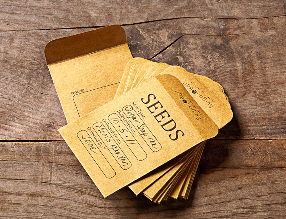 Classic manilla Seed Storage Envelopes