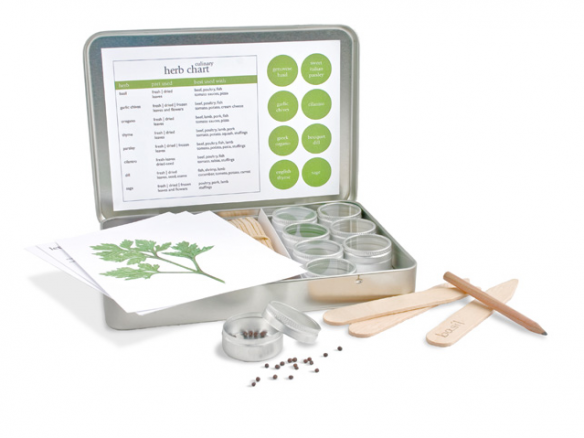 Culinary Herb Garden Kit
