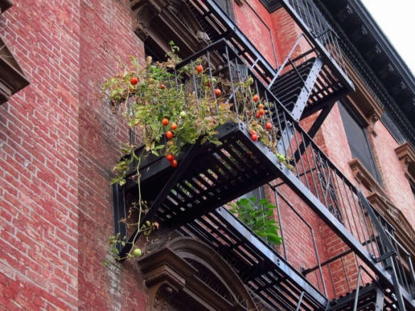 Apartment Therapy: 11 Garden Ideas to Steal from New York City