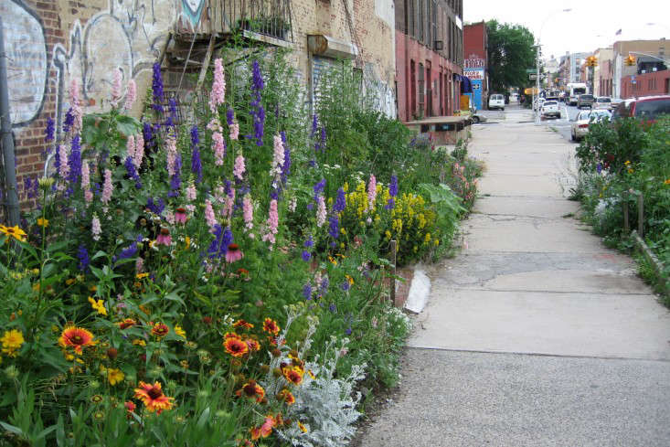 apartment-garden-ideas-to-steal-sidewalk-perennials-2-marie-viljoen-gardenista