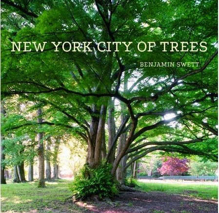 New York City of Trees : Benjamin Swett