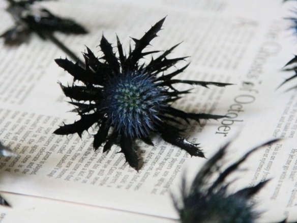 DIY: A Black Thistle Bouquet for Halloween