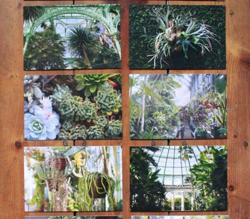 Botanical Postcards