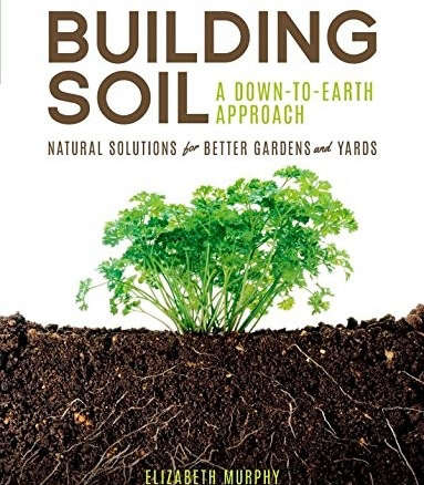 Building Soil: A Down-to-Earth Approach