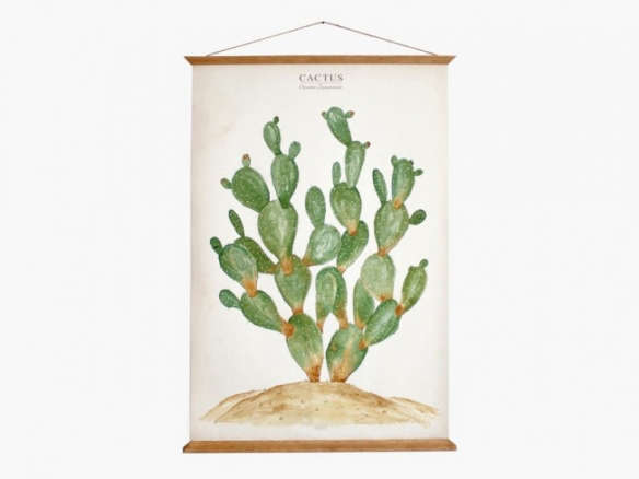 Cactus – Opuntia jamaicensis Poster