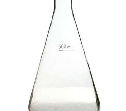 Chemistry Glass Flask Vase