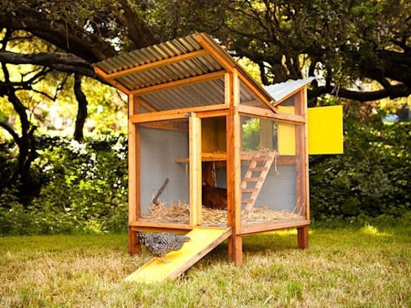Chick-in-a-Box Chicken Coop