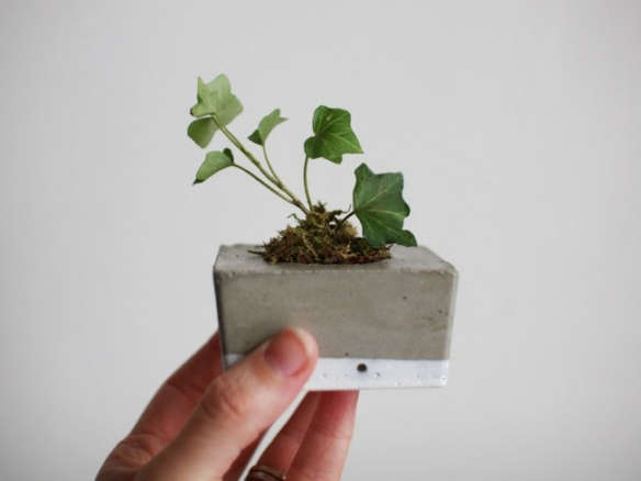 Tiny Concrete Planter