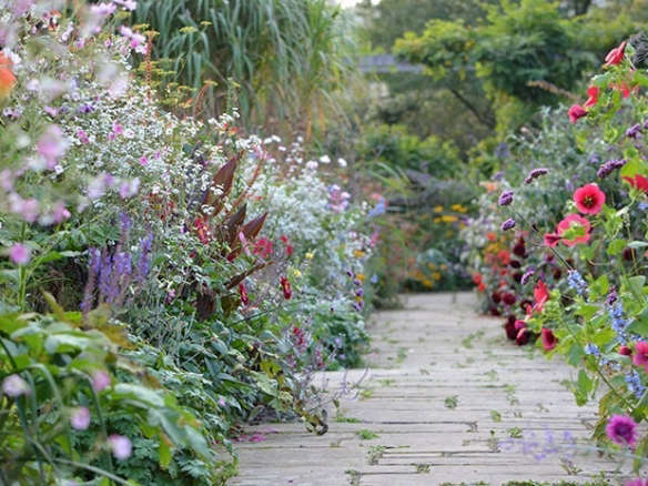 10 Ideas to Steal from English Cottage Gardens