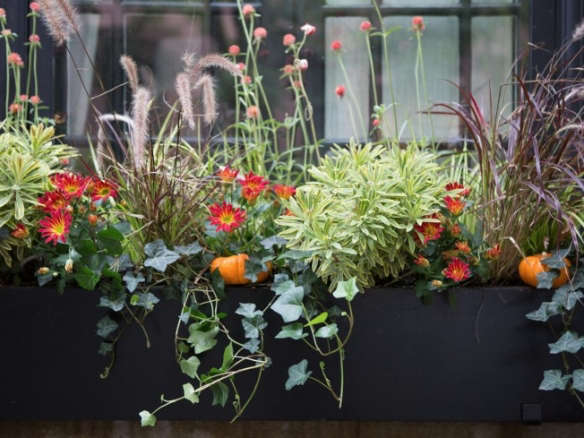 Hardscaping 101: Best Styles and Materials for Window Boxes