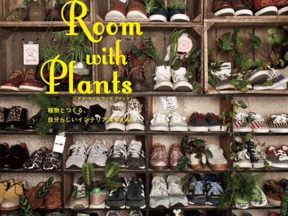 Deco Room With Plants