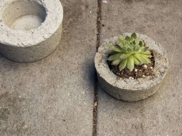DIY on a Budget: $30 Mini Concrete Planters