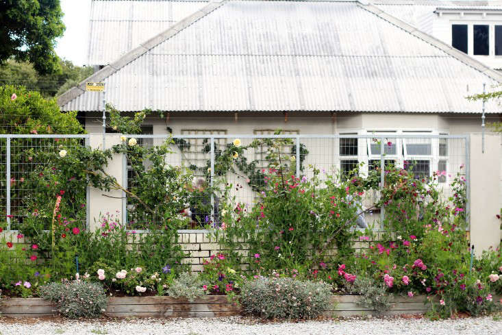 11 Garden Ideas To Steal From South Africa Gardenista